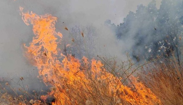 Приведен охриѓанец затоа што предизвикал пожар, следува пријава