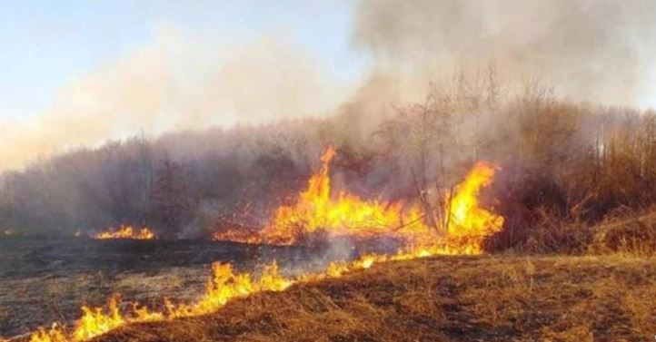 Приведено лице во Дебар поради предизвикување пожар, следува пријава