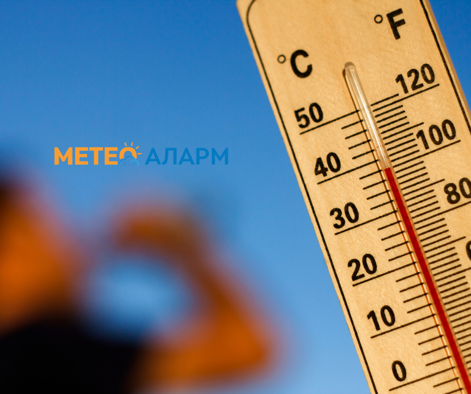 Топол бран од Африка во Македонија: Важни совети за заштита!