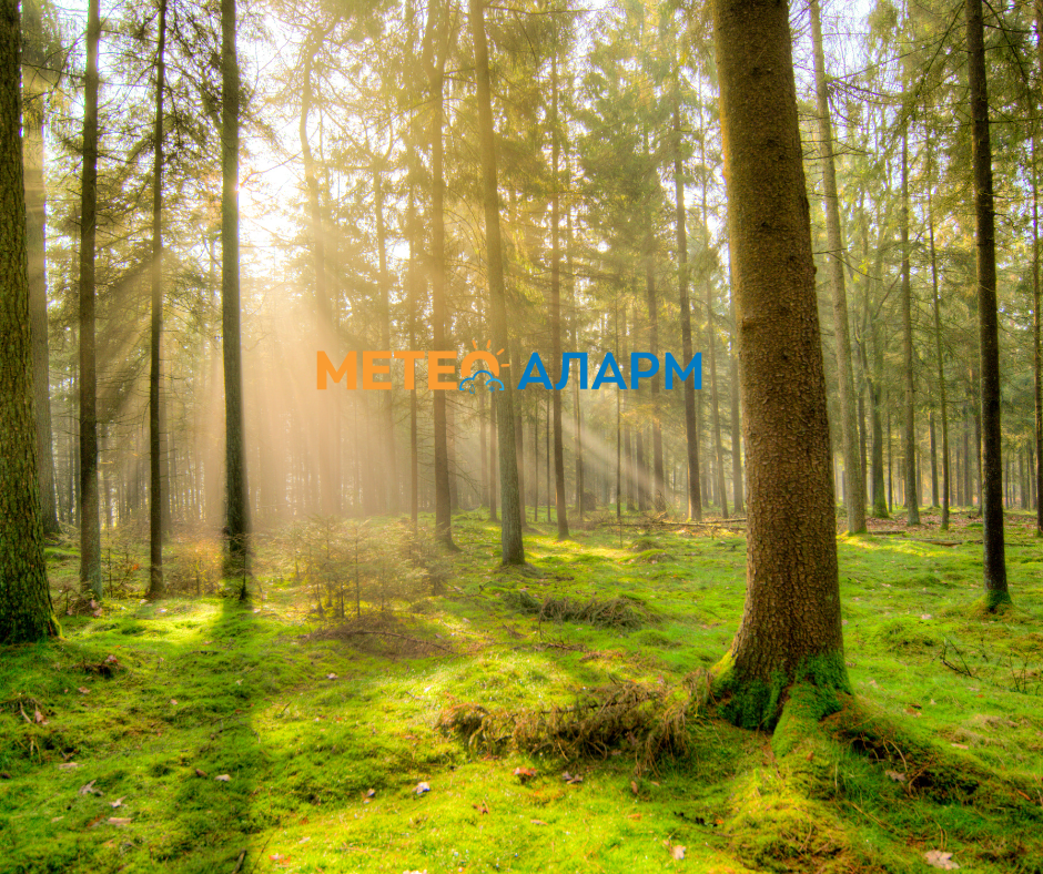 Денешното утро (среда 20 август) значително свежо и ведро!