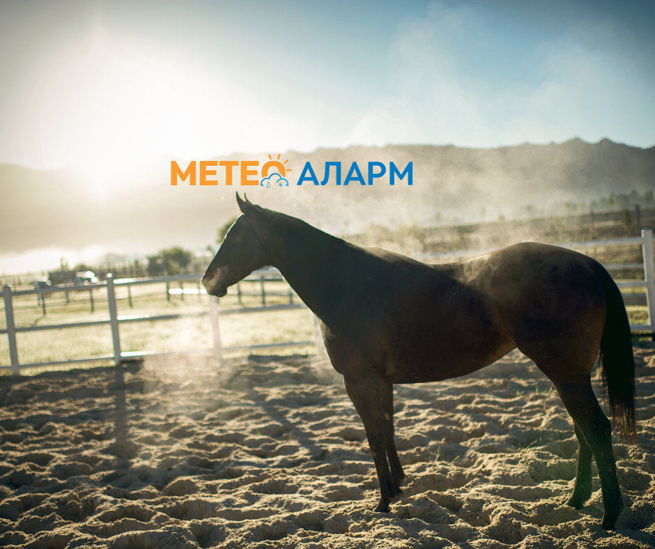 ЛАДНО УТРО: Температурите во регионот ова утро се спуштија близу 0 степени!