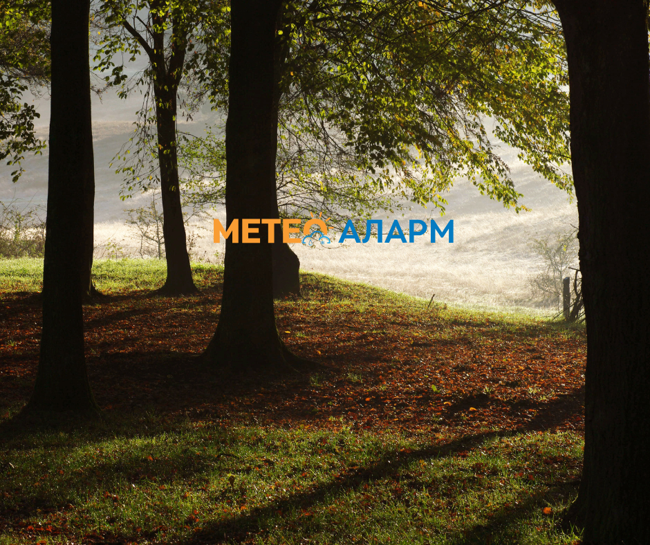 Ова утро имаме ведро и релативно свежо време во нашата Македонија!