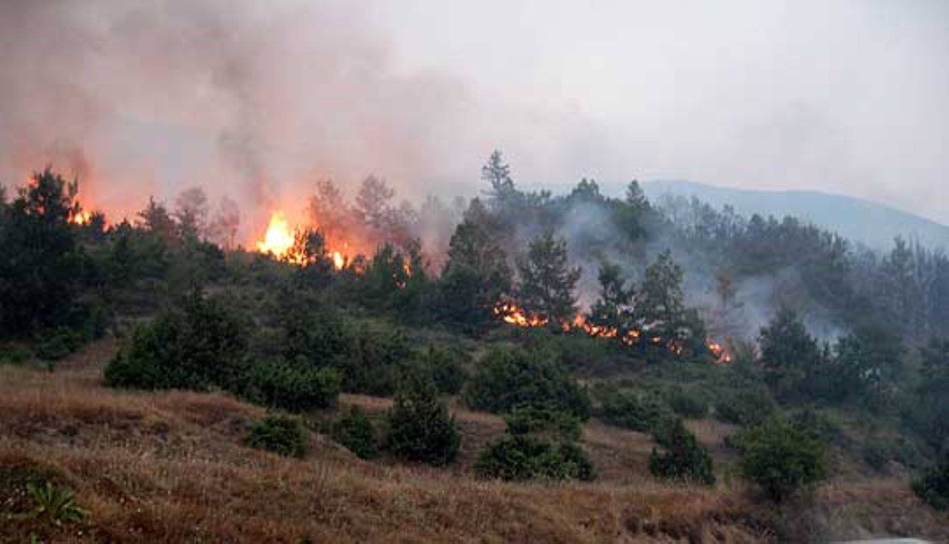23 пожари на отворен простор на територија на Република Македонија – 4 сè уште активни
