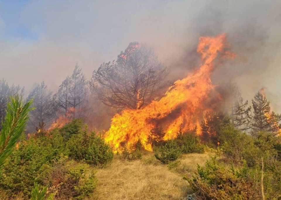 Осум пожари на територија на Република Македонија, четири од нив се уште активни