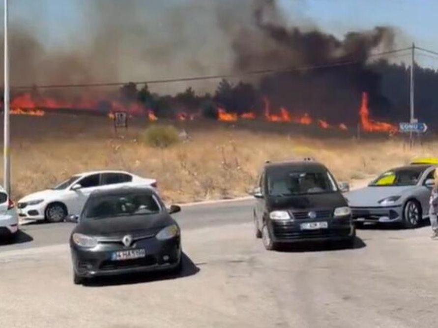 Пожари беснеат низ Турција, евакуирани стотици жители