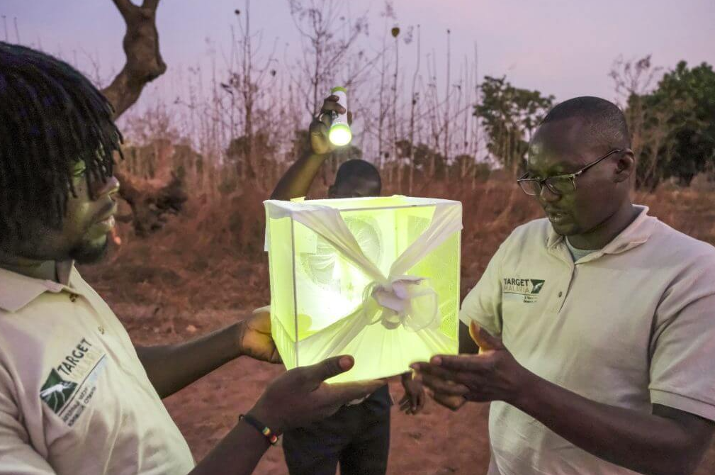 Буркина Фасо го прекина проектот на Бил Гејтс за генетски модифицирани комарци