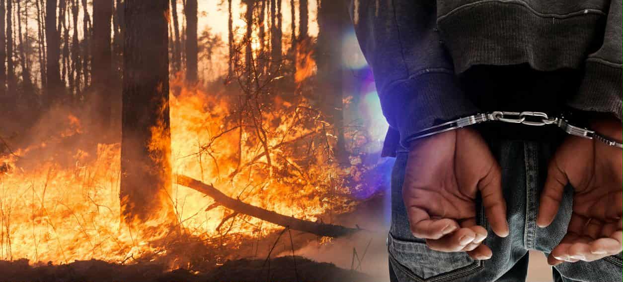 32 поднесени кривични пријави до сега во врска со пожари на отворен простор, лишени од слобода 56 лица