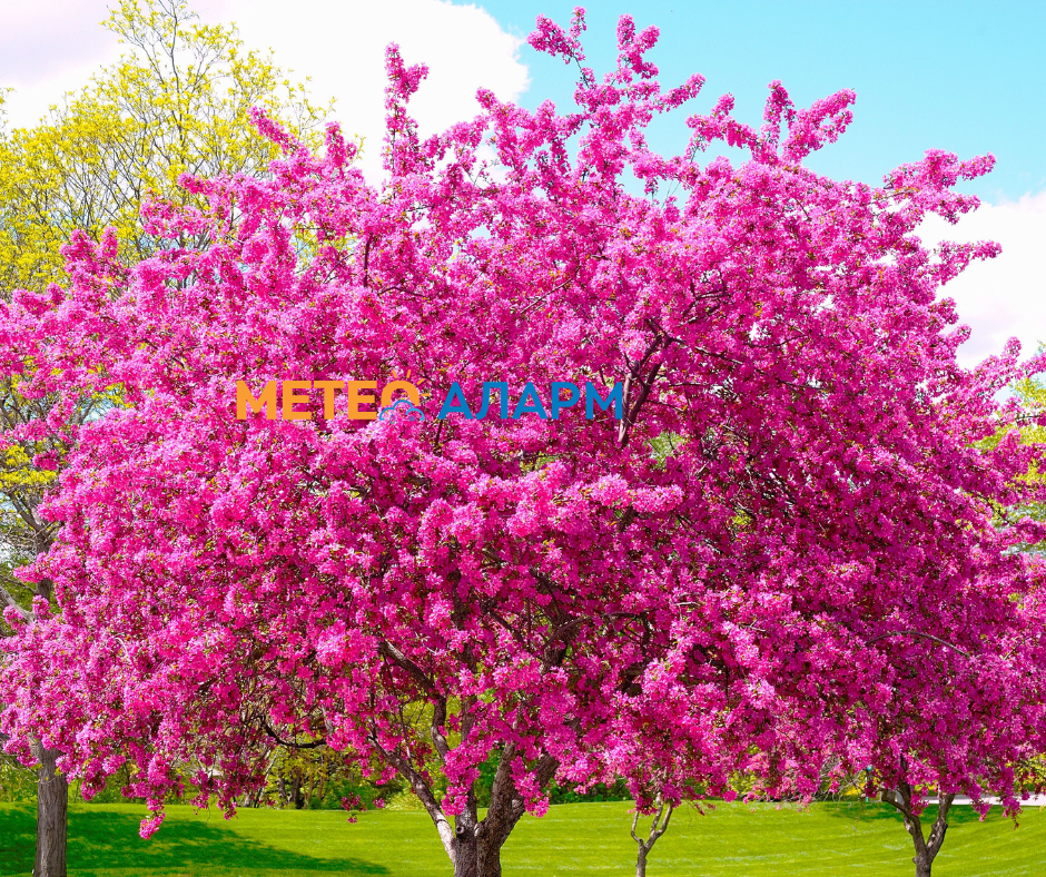 Ни следува стабилно, сончево и значително потопло време!