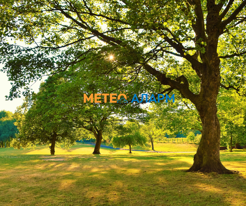 Временска прогноза: Еве какво време ја очекува Македонија овој викенд