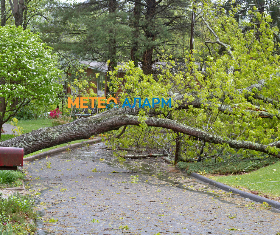 МЕТЕОАЛАРМ ПРЕДУПРЕДУВАЊЕ: Силно невреме ќе ја зафати Македонија!
