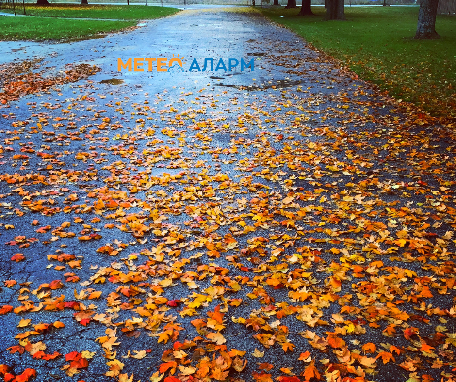 Временска прогноза: Еве какво време ја очекува Македонија во следниот период