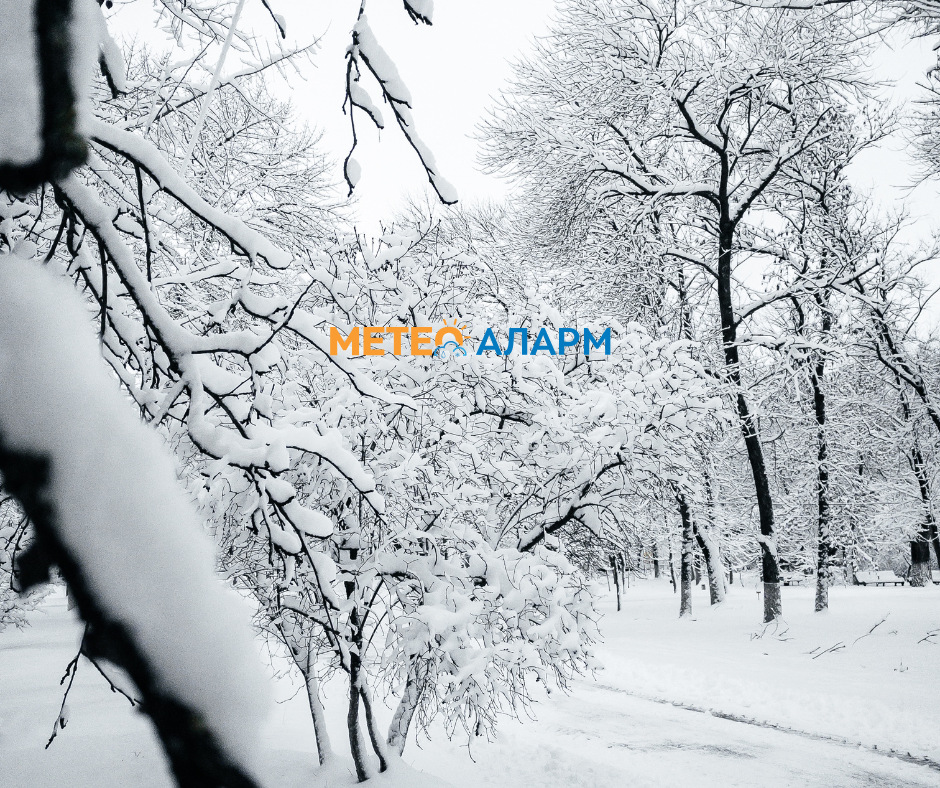 ЗИМСКИ ЛАДЕН БРАН НА БАЛКАНОТ И ВО МАКЕДОНИЈА: Доаѓа снег!