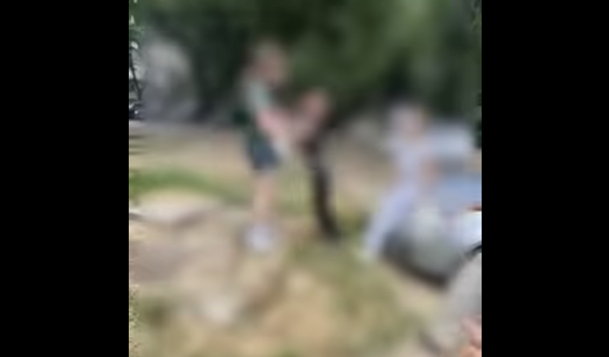 СВР Скопје го расчисти случајот со нападот врз девојчето во Чаир