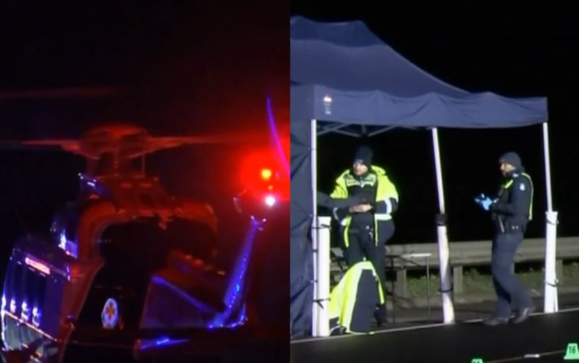 Трагедија во Австралија: Две жени загинаа додека помагале на повреден кенгур