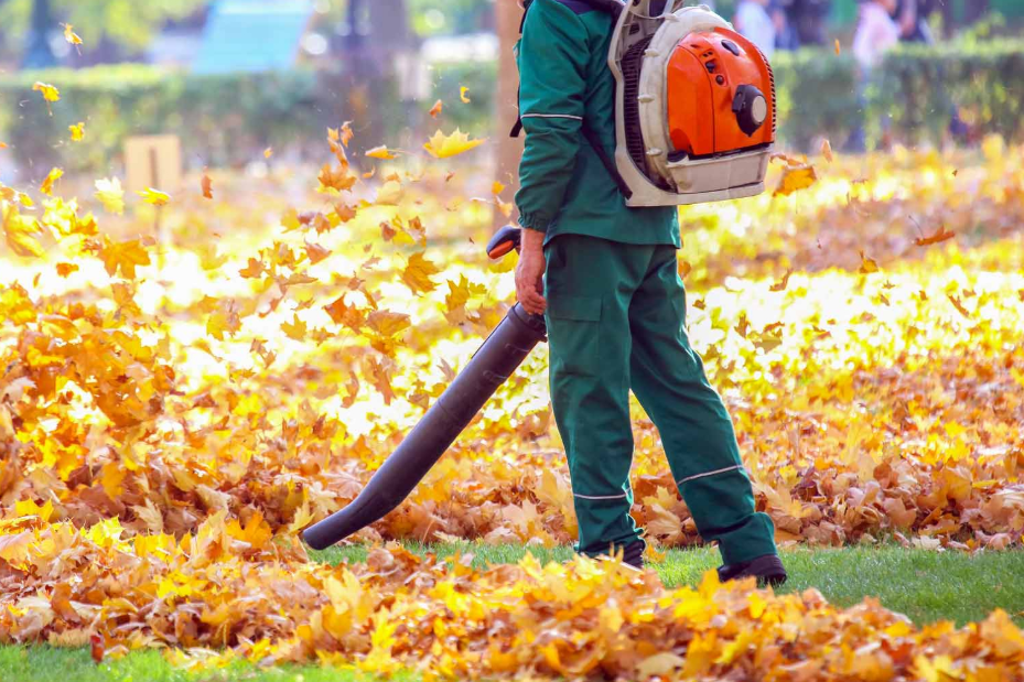 Оваа грешка во Германија може да ве чини и до 50.000 евра – ова никако не смеете да го правите