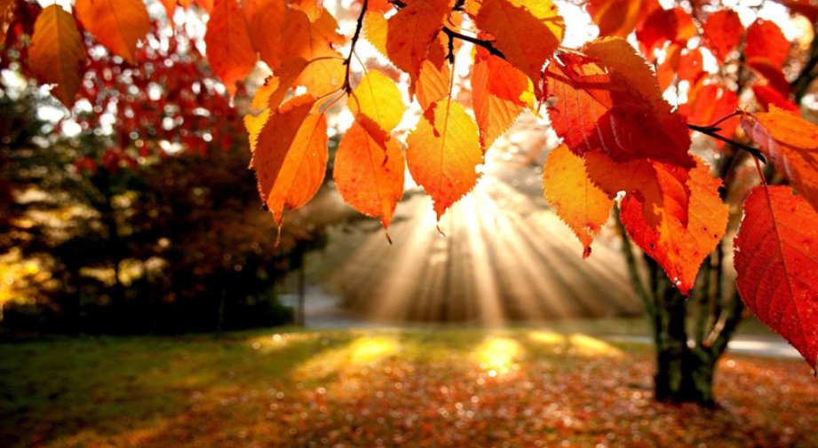 Денеска календарски започнува есента