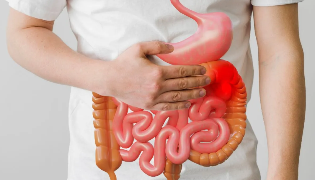Тивки симптоми на болести на цревата кои не смеат да се игнорираат