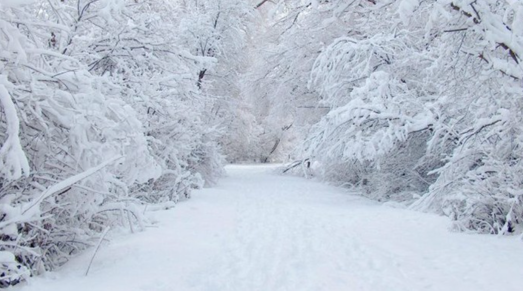 Еве кога пристигнува снегот во Македонија
