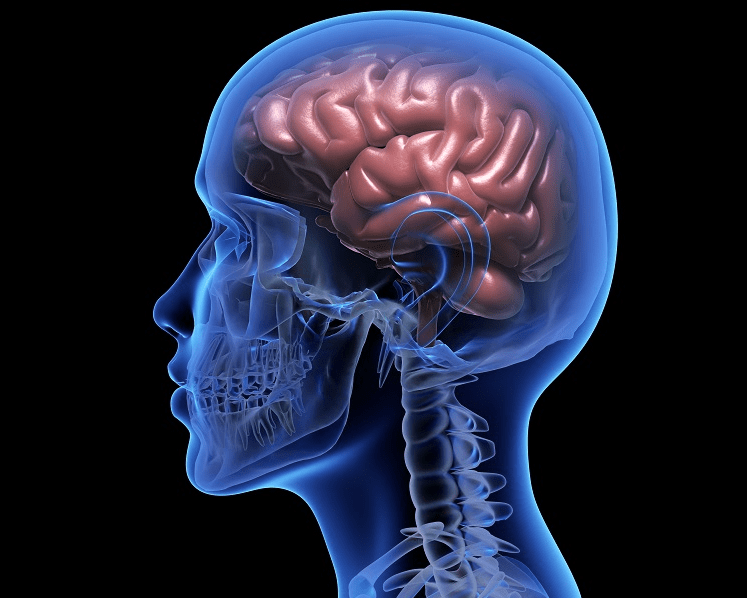 Мозочниот удар се почесто ги погодува младите: Три навики со кои можете да го спречите ова