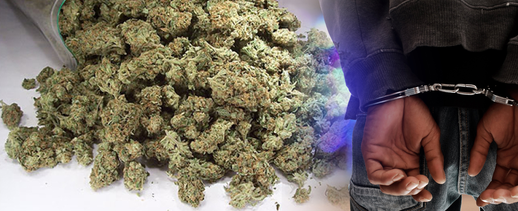 Претрес во Радовиш, пронајдена марихуана, лишено од слобода едно лице