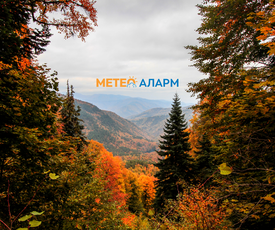 ВИКЕНД МЕТЕО АНАЛИЗА: Малку повеќе облачност, а ќе дува и силен ветер