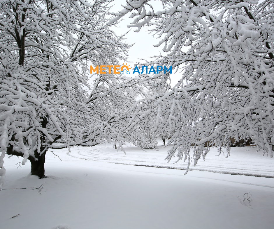 СИБИР ВО МАКЕДОНИЈА: Следуваат голем студ, многу дожд и снег над 60 см!