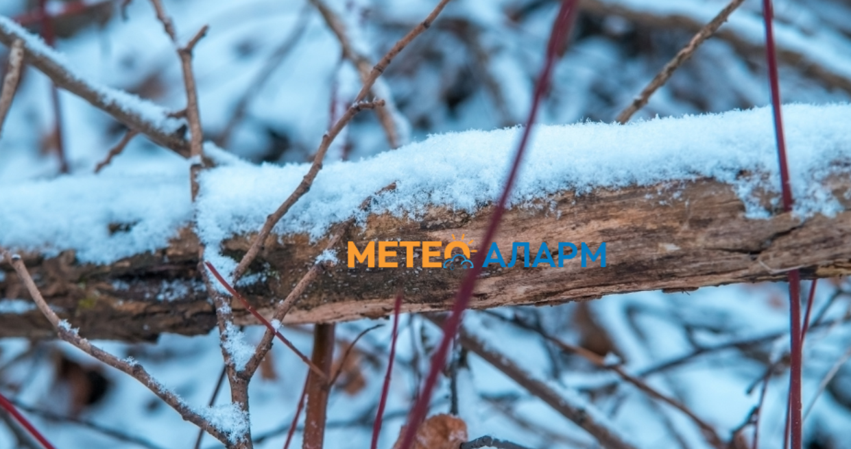 Подгответе се за ладен бран: Еве какво време ја очекува Македонија