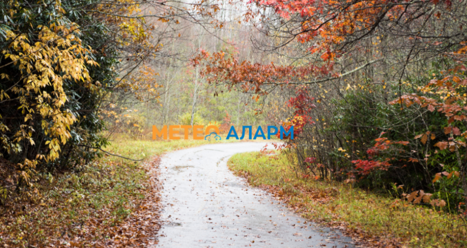 Дождливо време во Македонија, локално ќе наврнат над 20 литри дожд