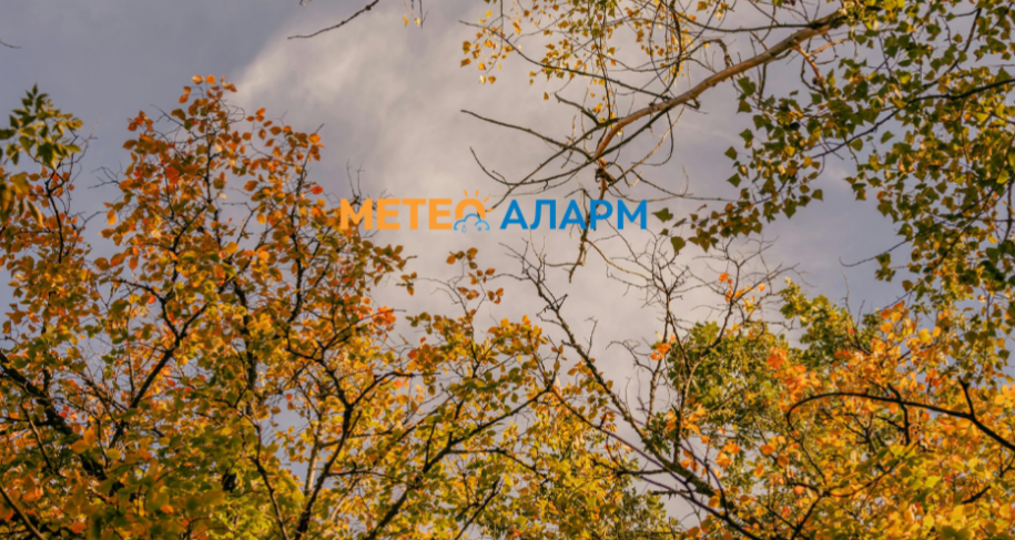 Временска прогноза за Македонија: Еве какво време не очекува во следниот период