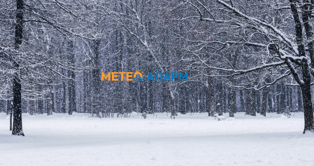 Подгответе се: Еве каква зима ја очекува Македонија!