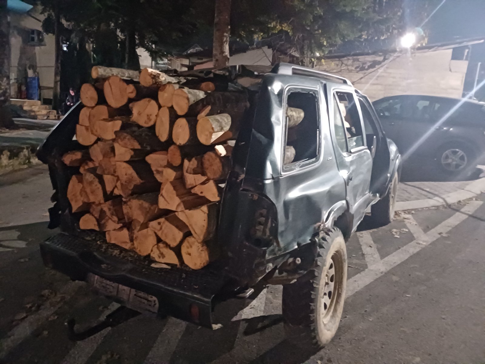 Лишени од слобода две лица поради кражба на огревно дрво, следуваат соодветни пријави