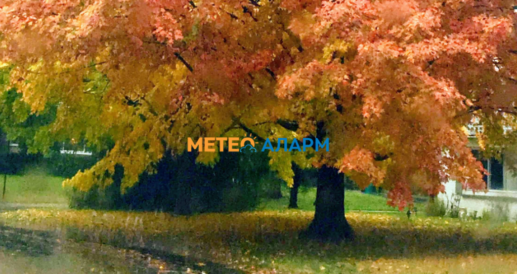 Од петок (7 ноември) ни доаѓа нов бран на обилни врнежи и засилен ветер