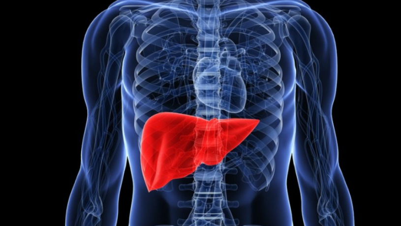 Овие симптоми укажуваат дека вашиот црн дроб можеби не е во ред – не ги занемарувајте!